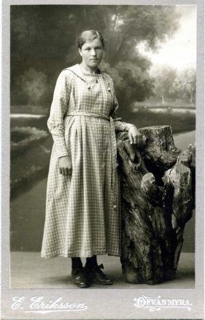  Anna Johanna Strid 1899-1974